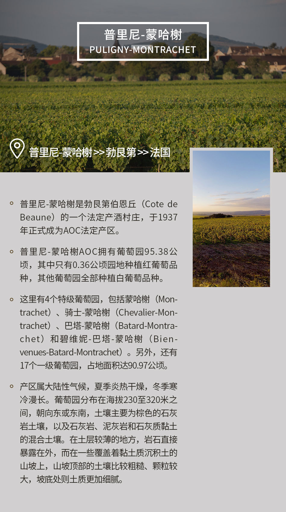 法国勃艮第-普里尼-蒙哈榭