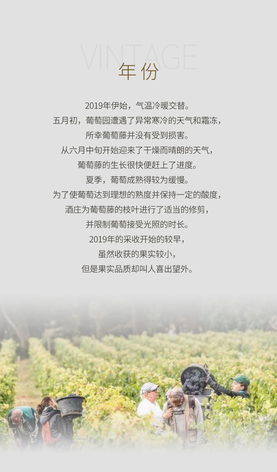 2019年飞卓酒庄红葡萄酒