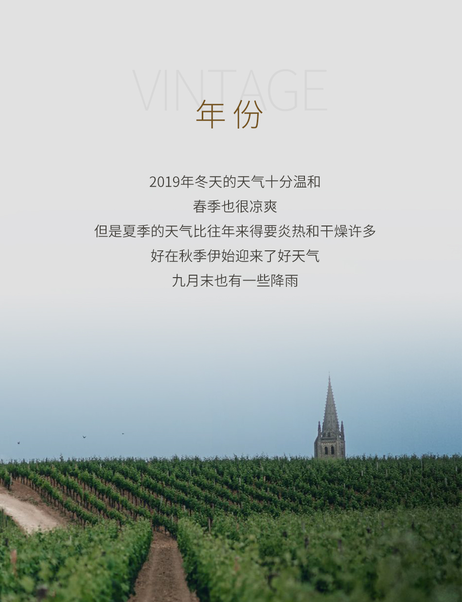 2019年卡农酒庄红葡萄酒
