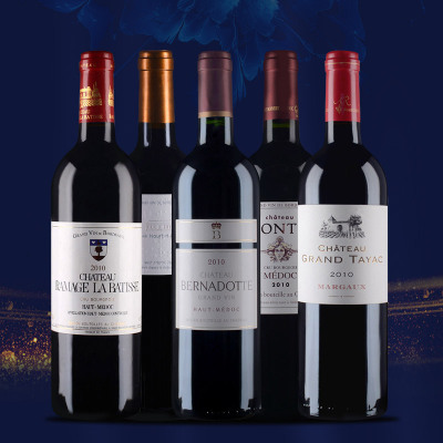 2010年精选高分中级庄对比品鉴五支套装