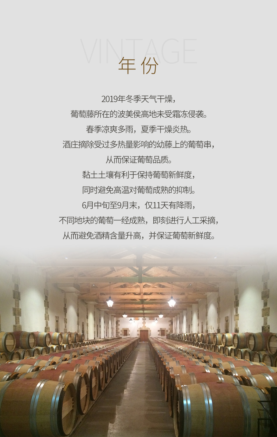2019年嘉仙酒庄红葡萄酒