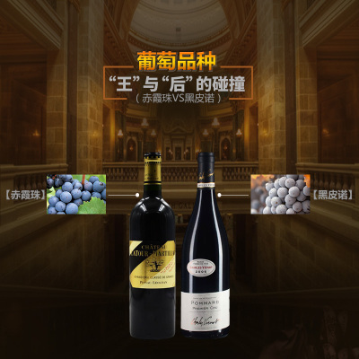 葡萄品种“王”与“后”的碰撞