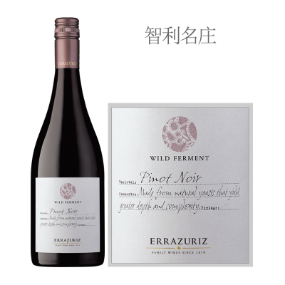 2022年野生酵母黑比诺干红葡萄酒