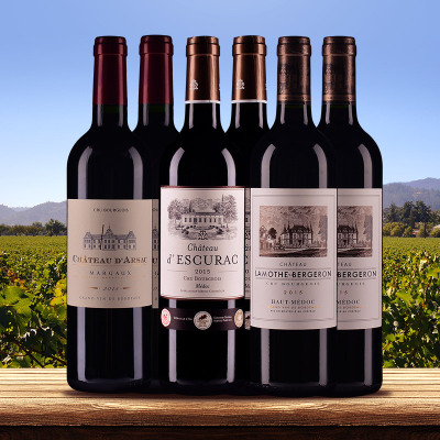 2015年90分+优质中级庄代表六支套装