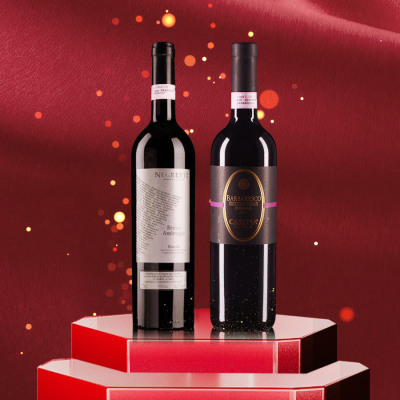 巴罗洛与巴巴莱斯科2005年双支套装