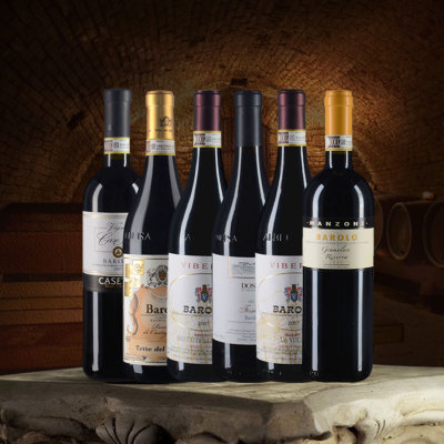 酒中之王巴罗洛六支套装（2007年份对比品鉴）