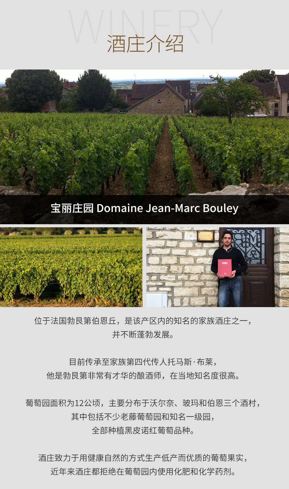 2013年宝丽庄园雷沃斯（伯恩一级园）红葡萄酒|2013 Domaine Jean-Marc 