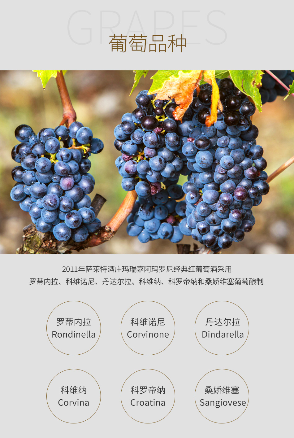 2011年萨莱特酒庄玛瑞嘉阿玛罗尼经典红葡萄酒--葡萄品种