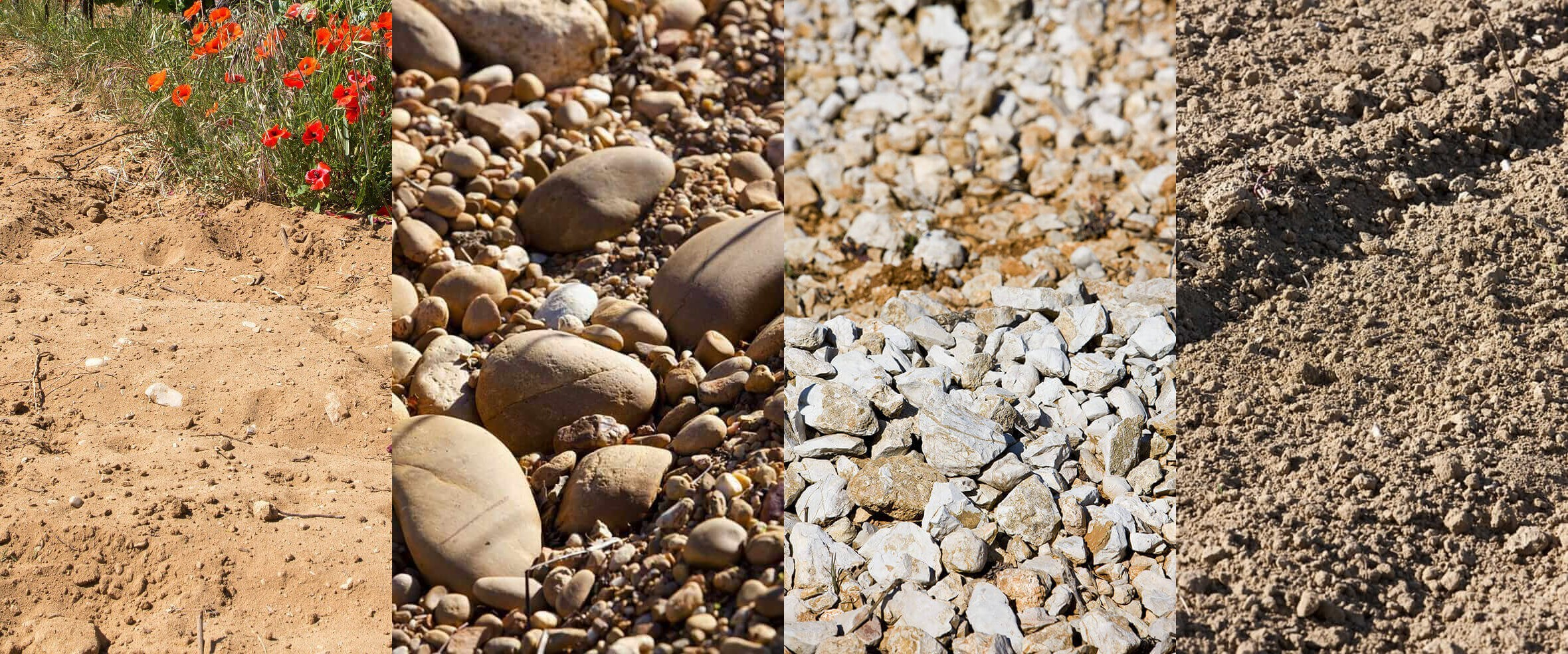 葡萄园常见土壤类型：石灰岩土壤