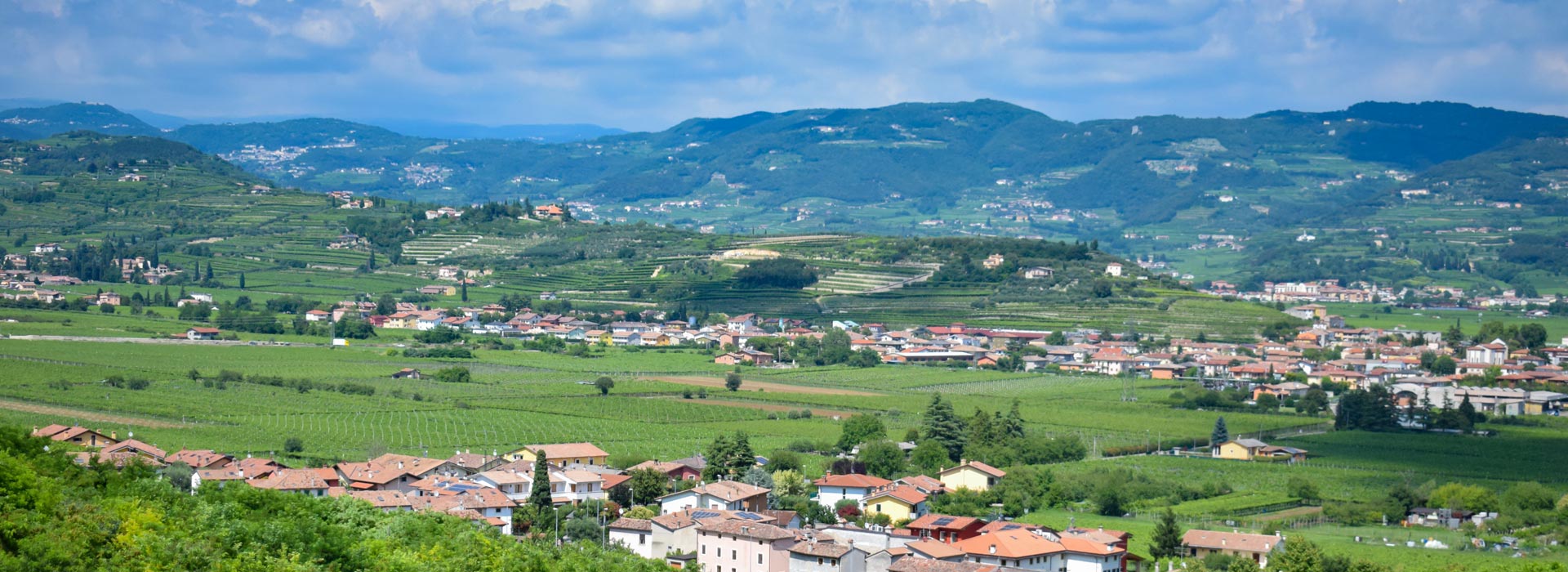 瓦坡里切拉的重要子产区：经典瓦坡里切拉与瓦潘特纳