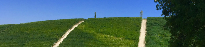 巴罗洛五大中间村落子及其优异葡萄园