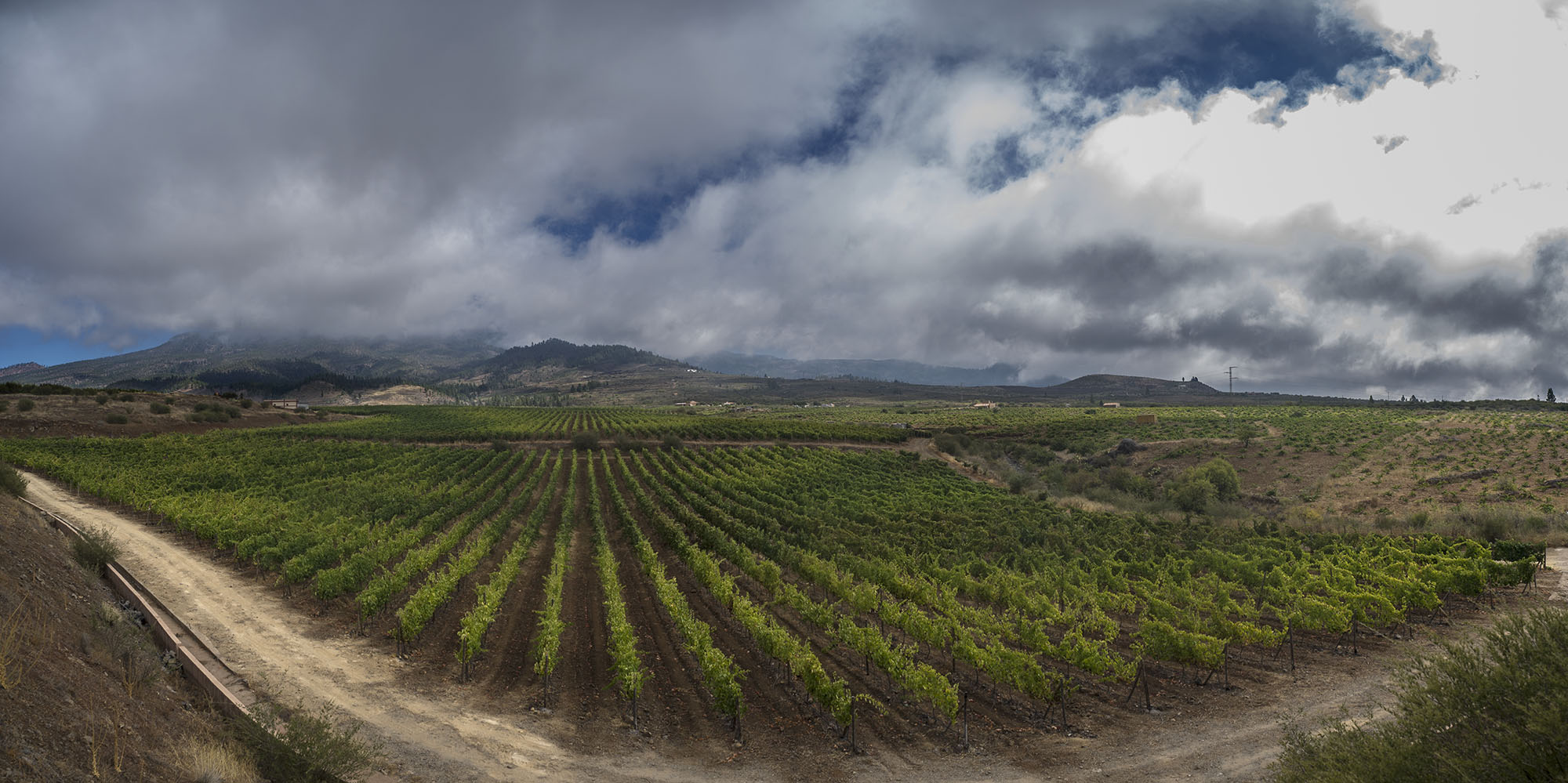 火山土壤对葡萄酒的影响