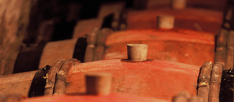 帕弗洛酒庄多米诺德：萨维尼一级园的精彩呈现