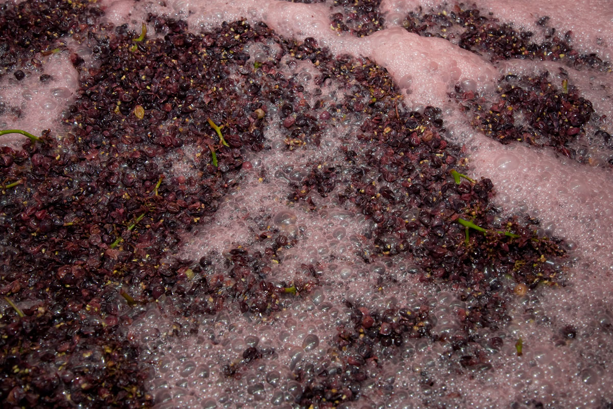 勃艮第红葡萄酒的整串发酵和去梗发酵