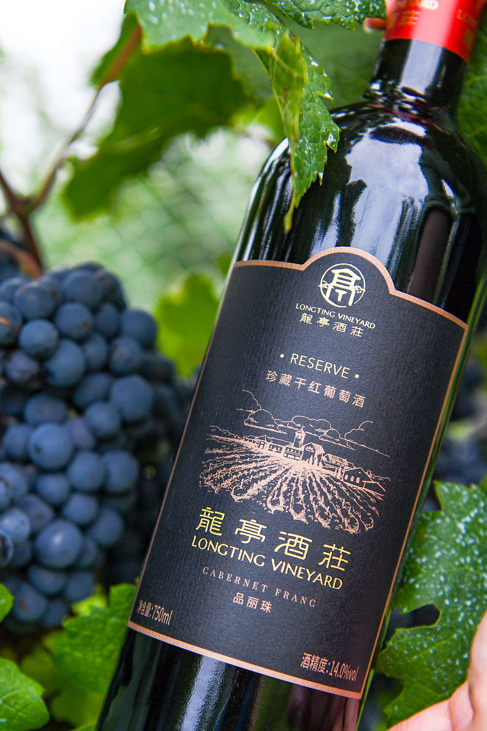 WA2021年度中国精品葡萄酒，哪些酒款入选了前十？