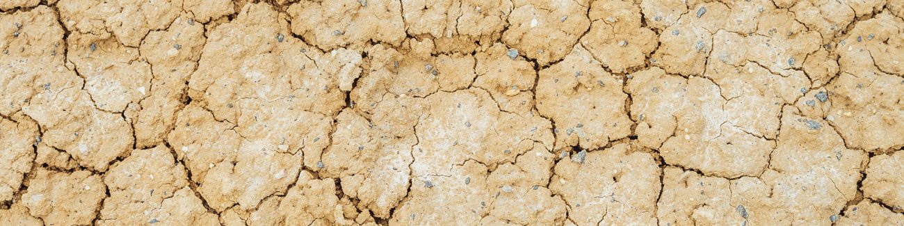 干旱或威胁巴贝拉阿斯蒂产区的收成