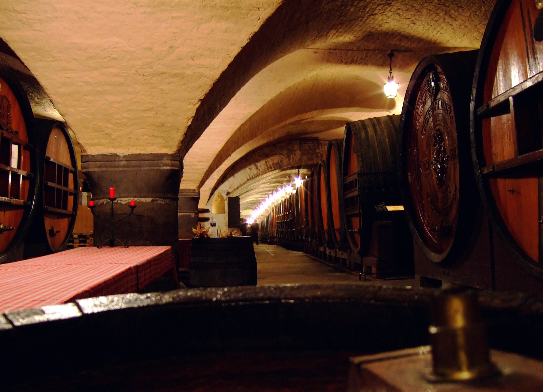 揭秘世界现存最古老的葡萄酒
